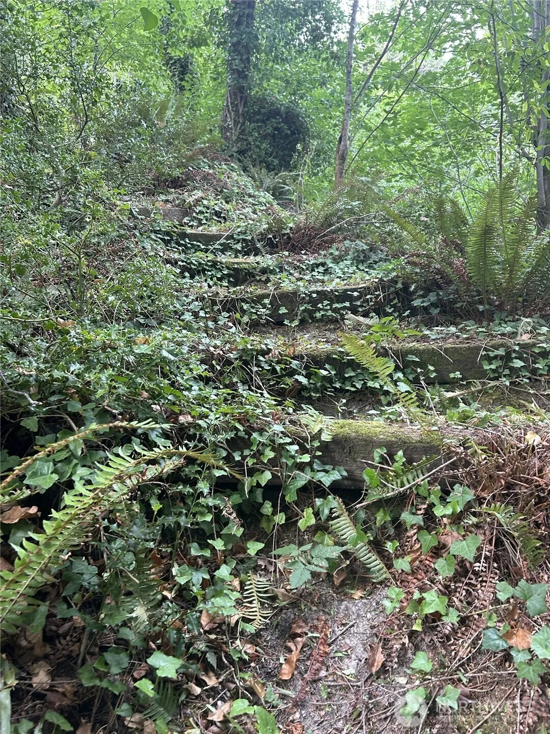 Property photo for 9464 Se Goat Trail Rd, Port Orchard photo 4