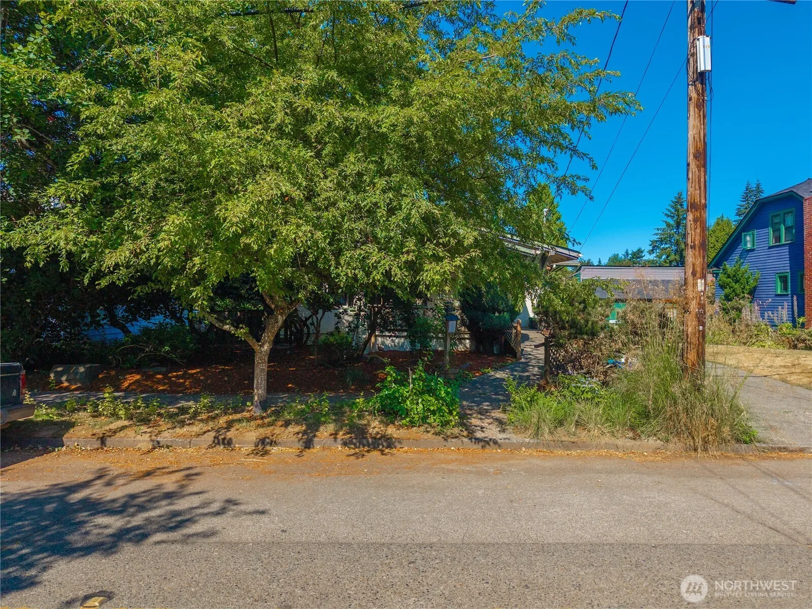 Property photo for 231 Central Street Ne, Olympia