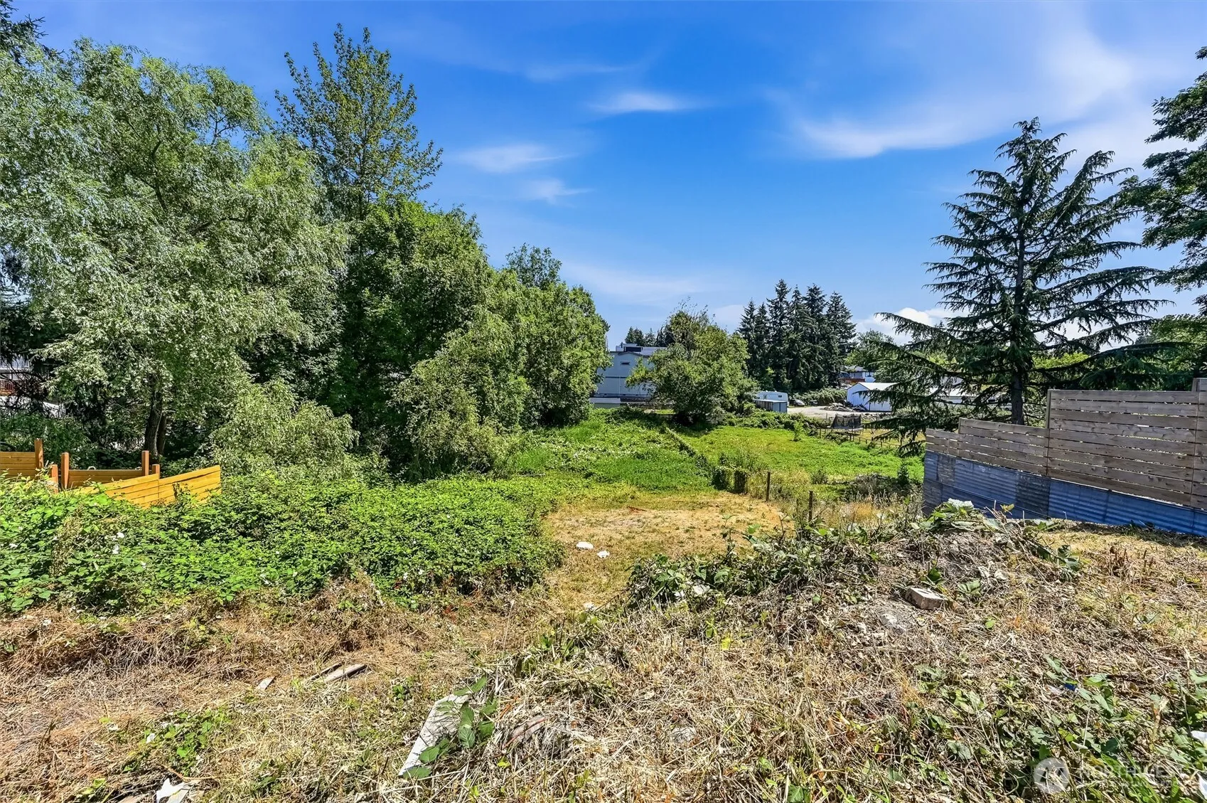 Property photo for 13426 22nd Avenue S, Seattle photo 5