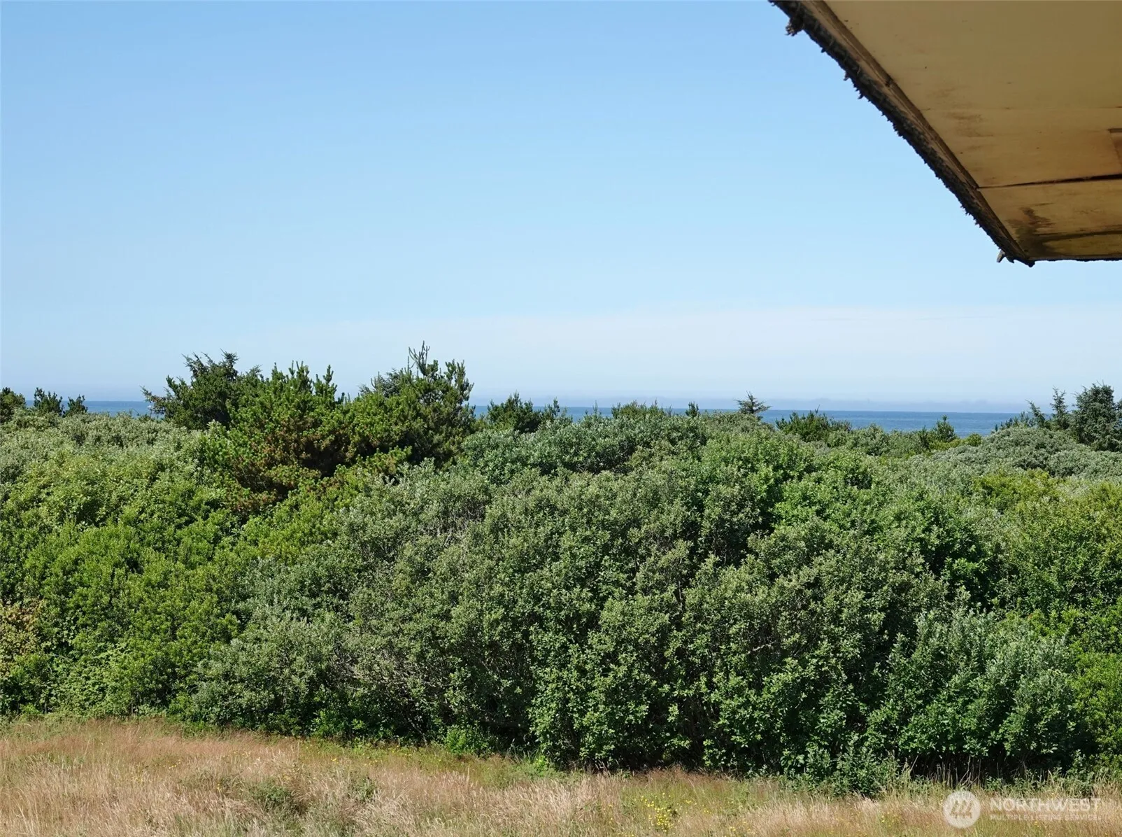 Property photo for 615 Ocean Shores Boulevard Nw #308, Ocean Shores photo 5