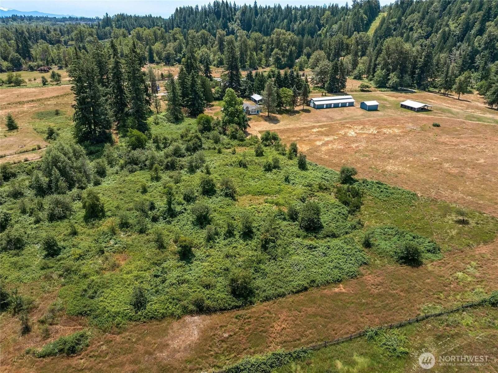 Property photo for 21115 Renton Maple Valley Road, Maple Valley photo 4