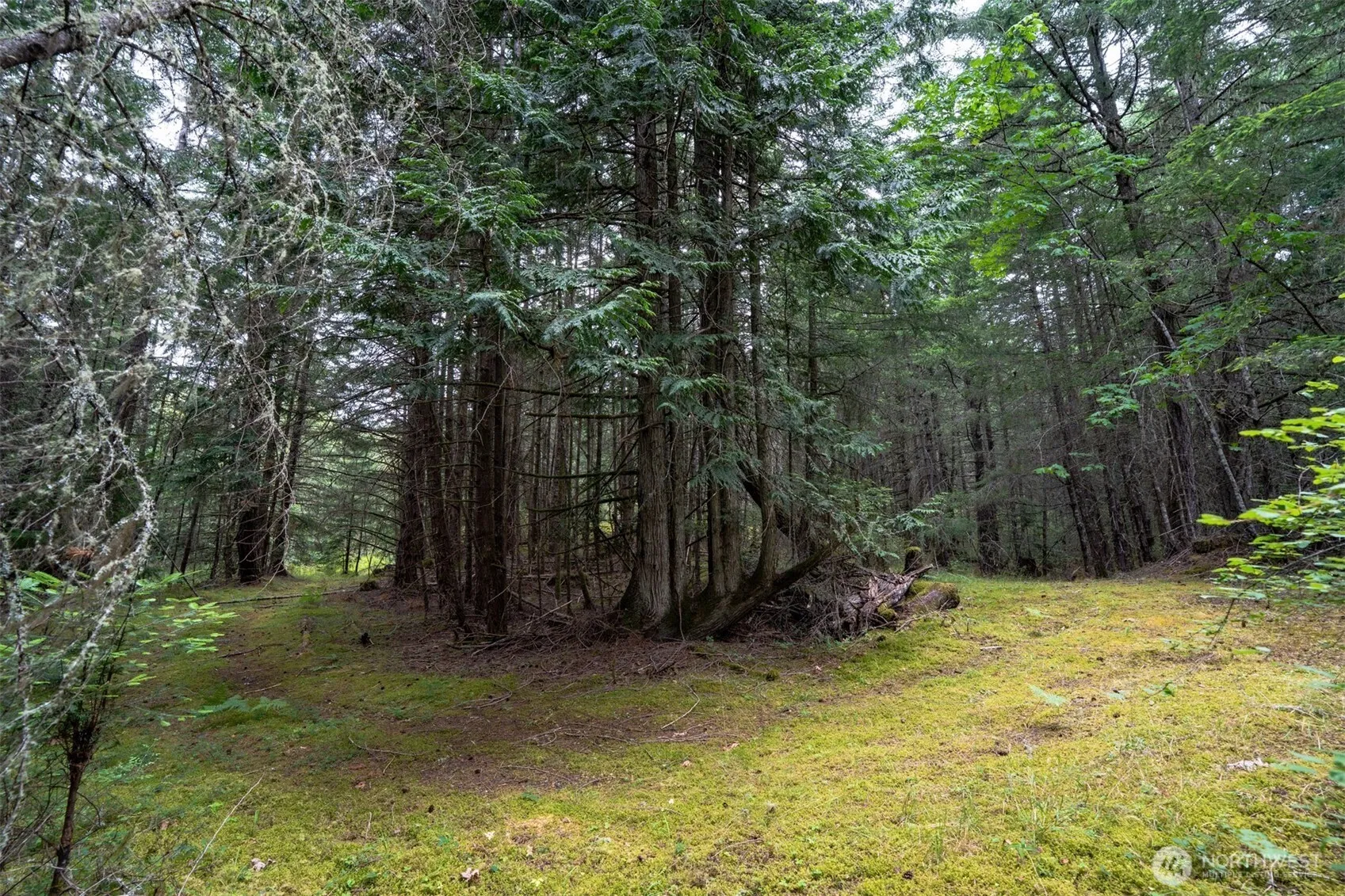 Property photo for 1087 Cady Mountain Road, San Juan Island photo 4