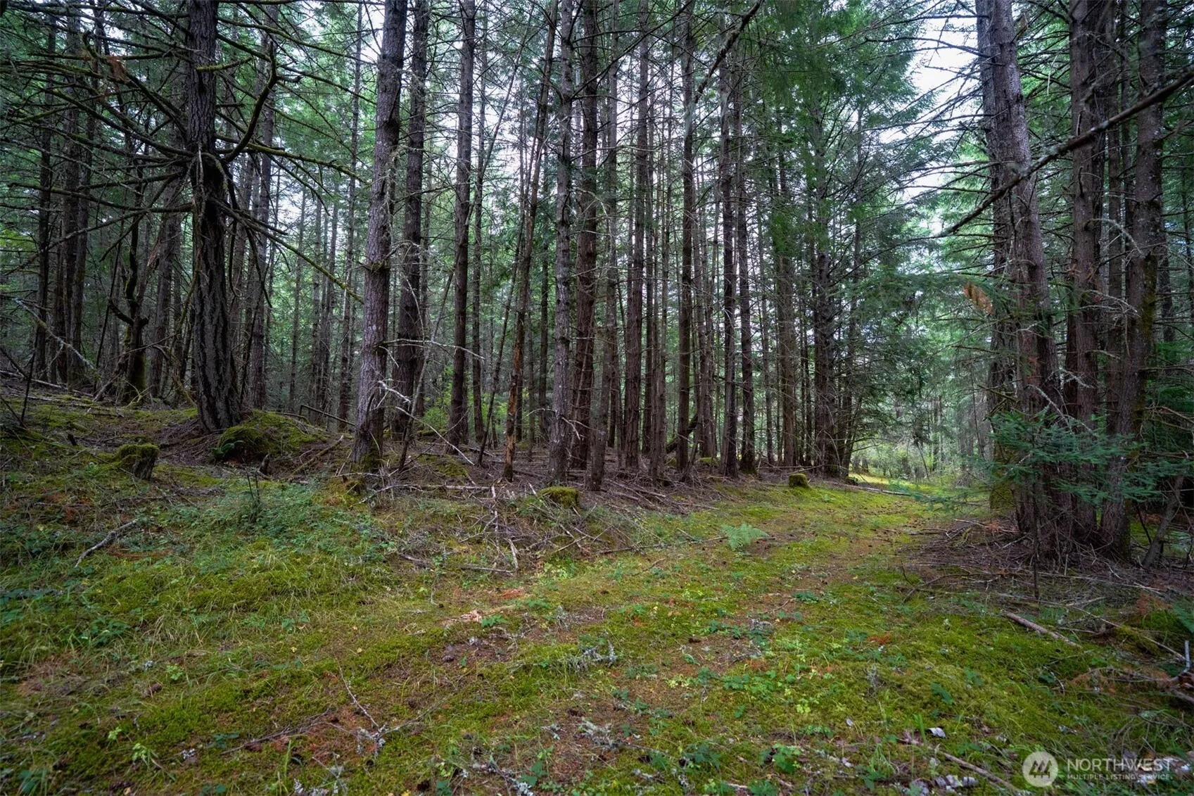 Property photo for 1087 Cady Mountain Road, San Juan Island photo 3