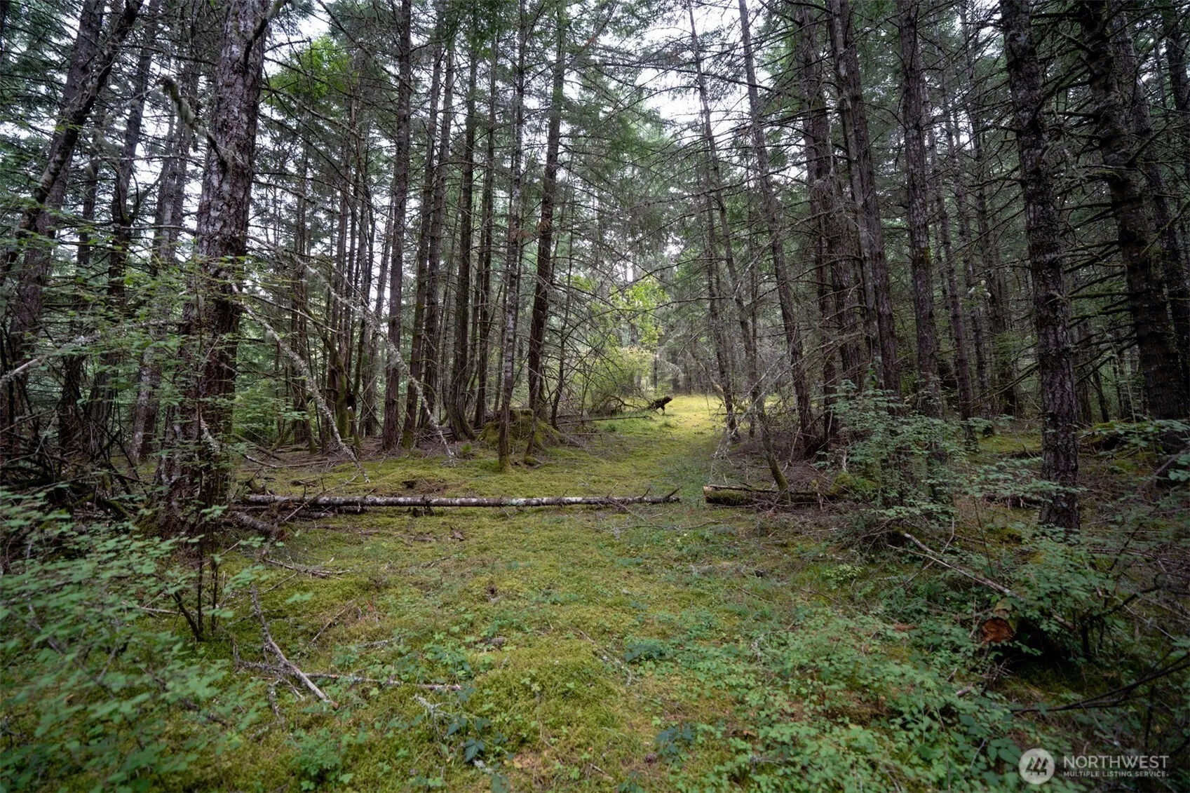 Property photo for 1087 Cady Mountain Road, San Juan Island photo 5