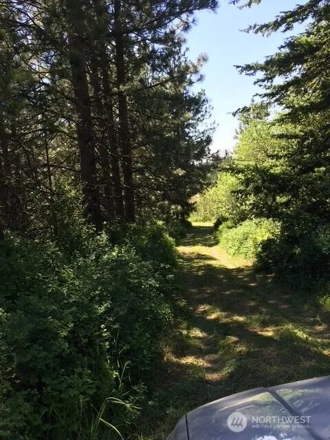 Property photo for 0 Bare Land, Waitsburg photo 5