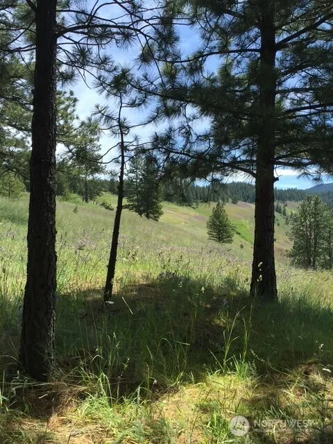 Property photo for 0 Bare Land, Waitsburg photo 2