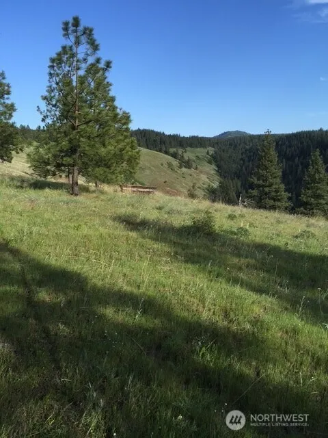 Property photo for 0 Bare Land, Waitsburg photo 3