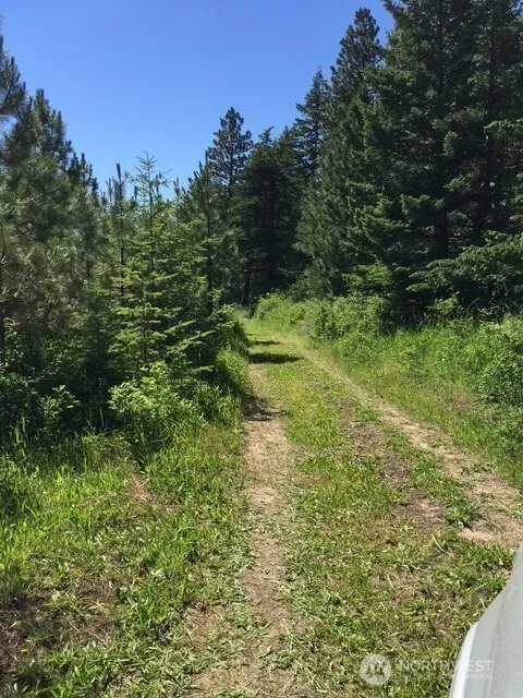 Property photo for 0 Bare Land, Waitsburg photo 4