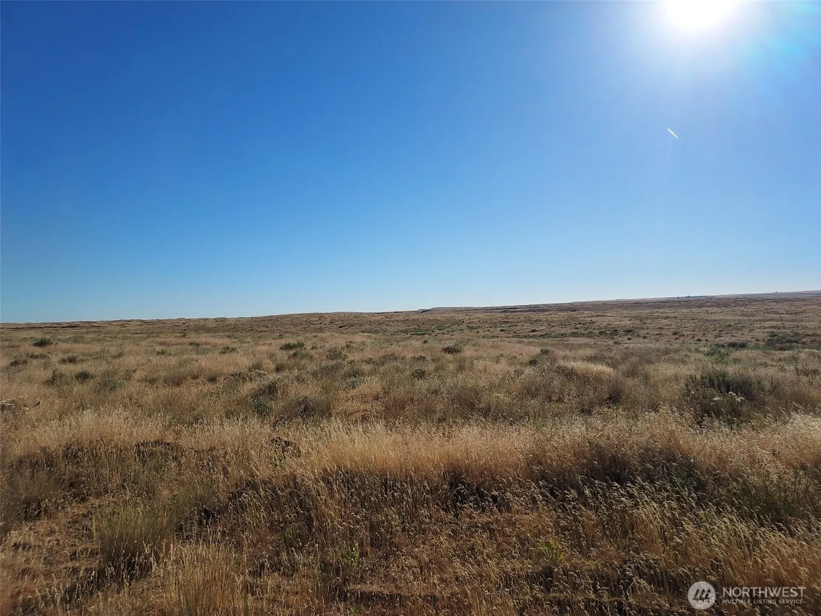 Property photo for 100 Seven Springs Dairy Road, Davenport photo 5