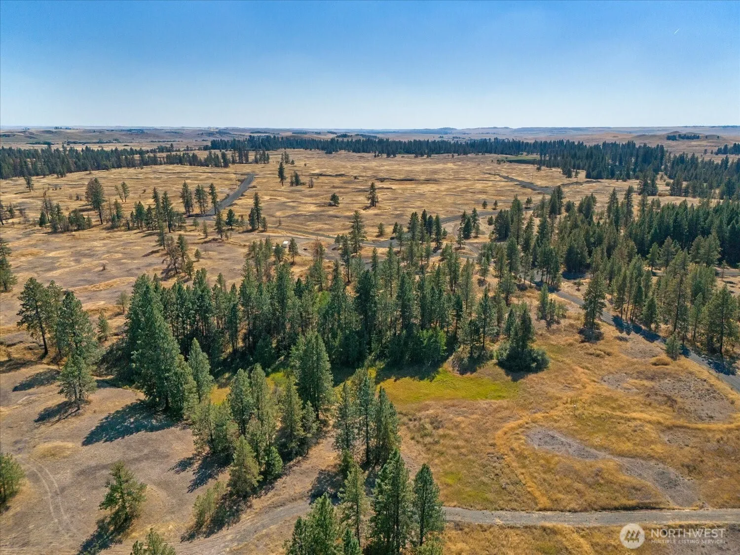 Property photo for 36321 S Bootstrap Ln, Cheney photo 5