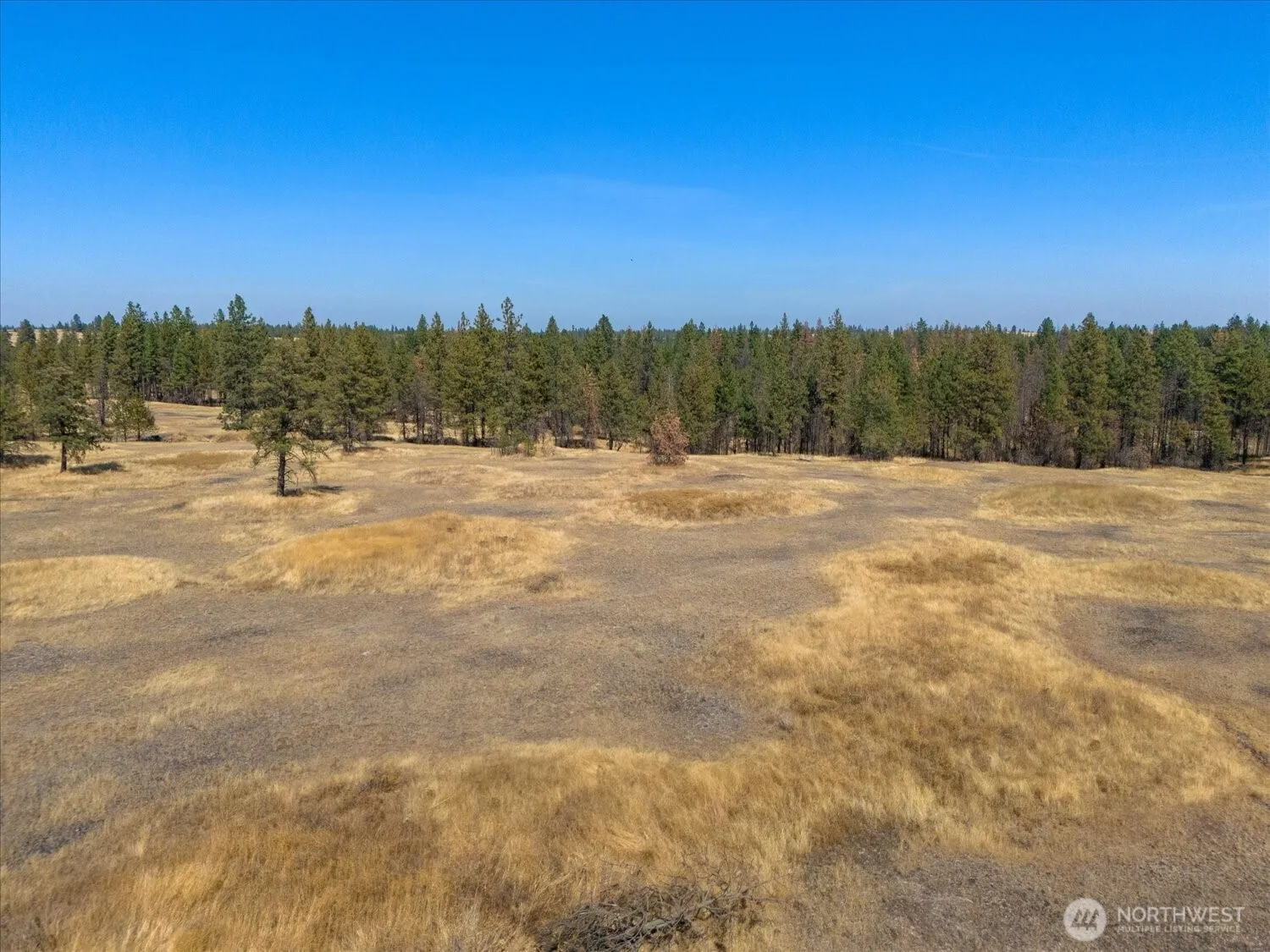 Property photo for 36377 S Bootstrap Ln, Cheney photo 5