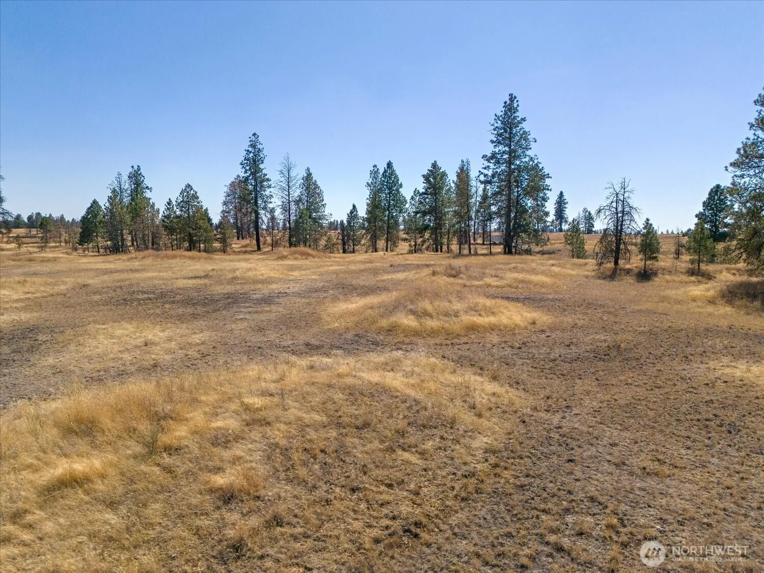 Property photo for 36377 S Bootstrap Ln, Cheney photo 4