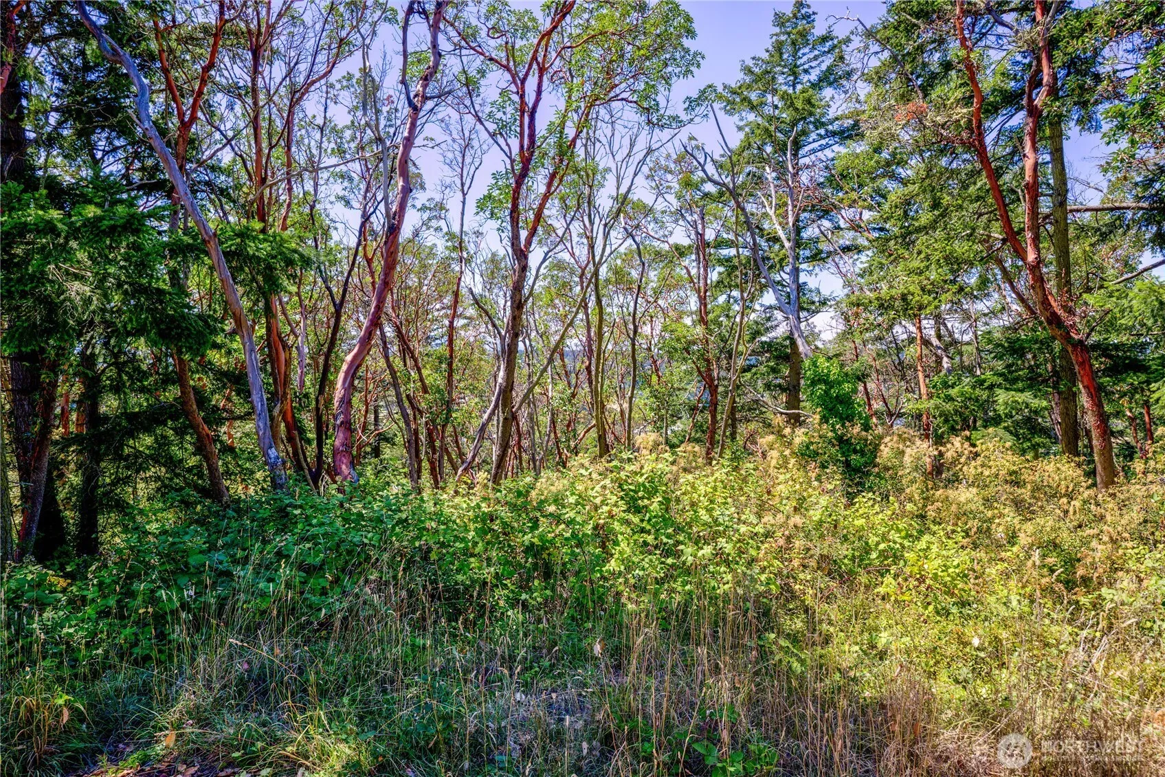 Property photo for 1025 Maple Street, Port Townsend photo 5