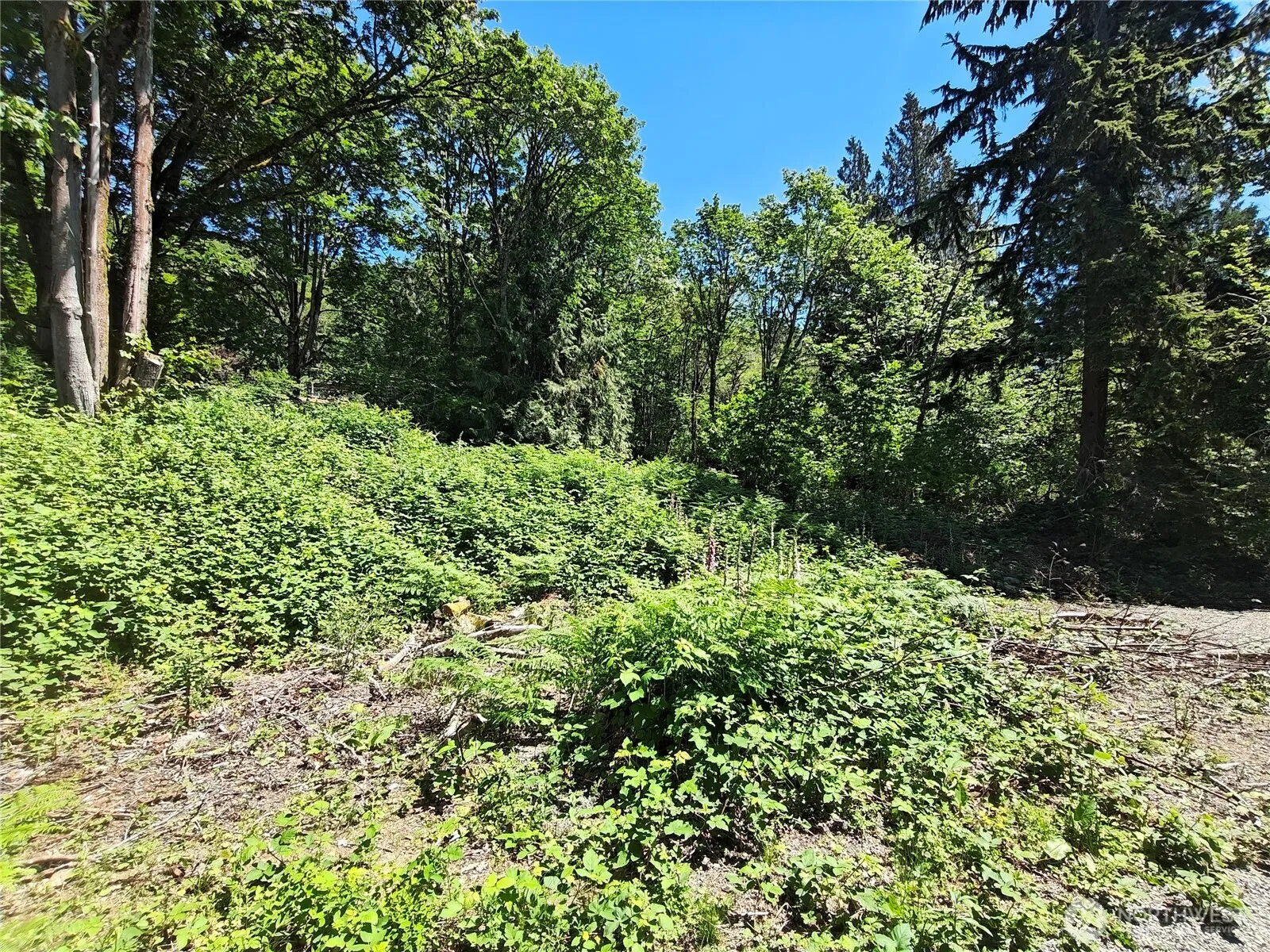 Property photo for 273 Xx Se 164th Street, Issaquah photo 4