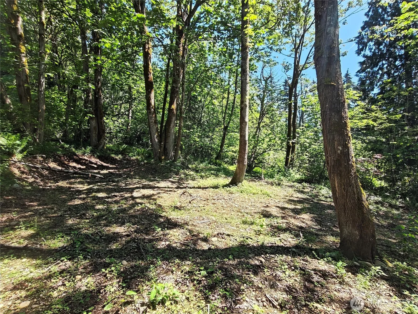 Property photo for 273 Xx Se 164th Street, Issaquah photo 5