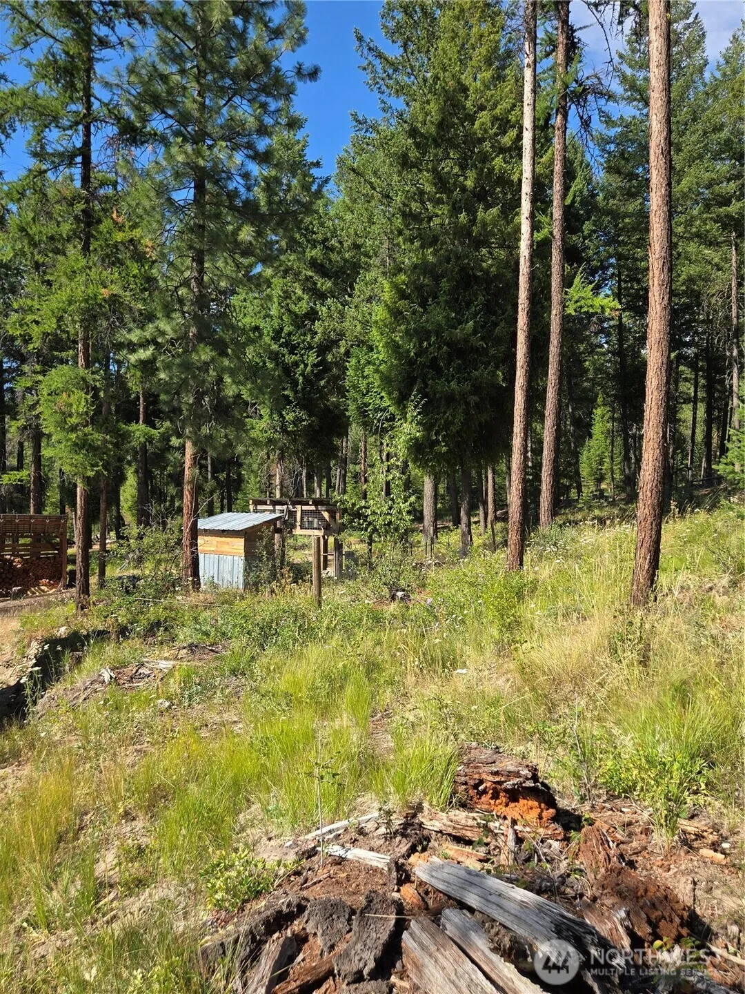 Property photo for 61 Rone Road, Tonasket photo 3