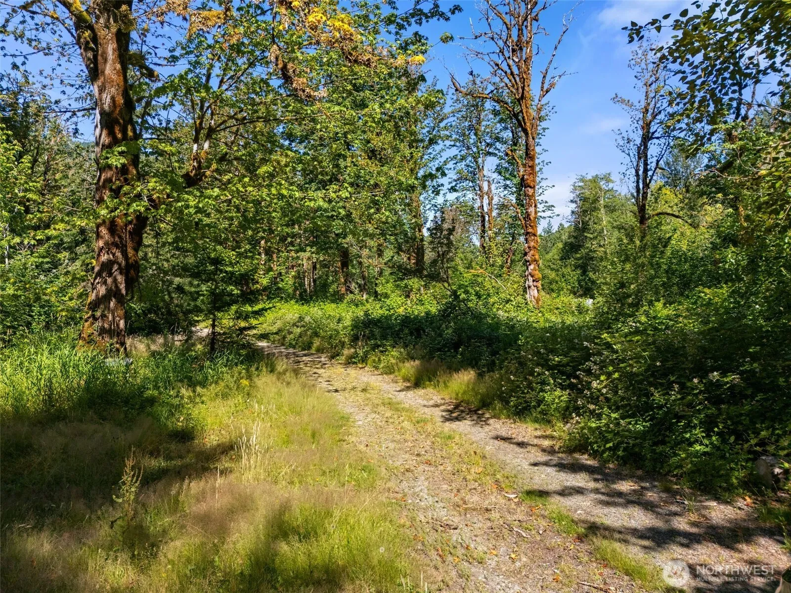 Property photo for 0 0sr 508, Morton photo 4