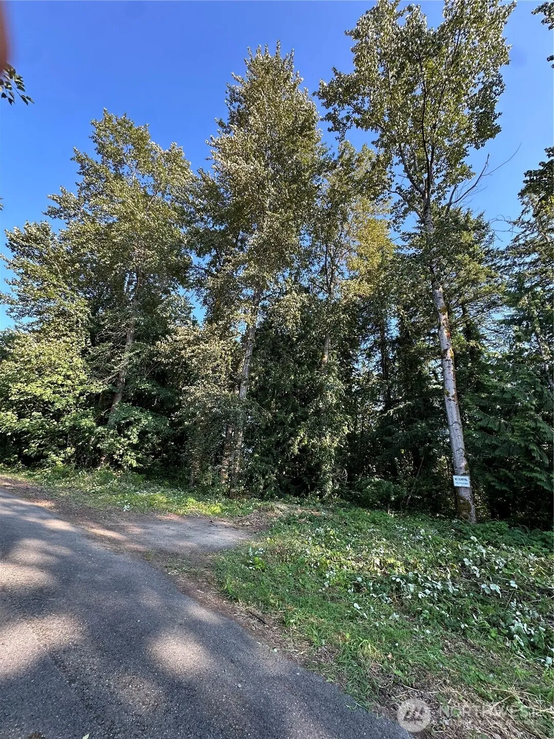 Property photo for 131 Xx Se 312th Street, Auburn photo 3