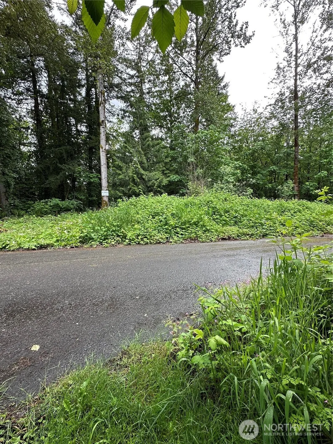 Property photo for 131 Xx Se 312th Street, Auburn photo 5