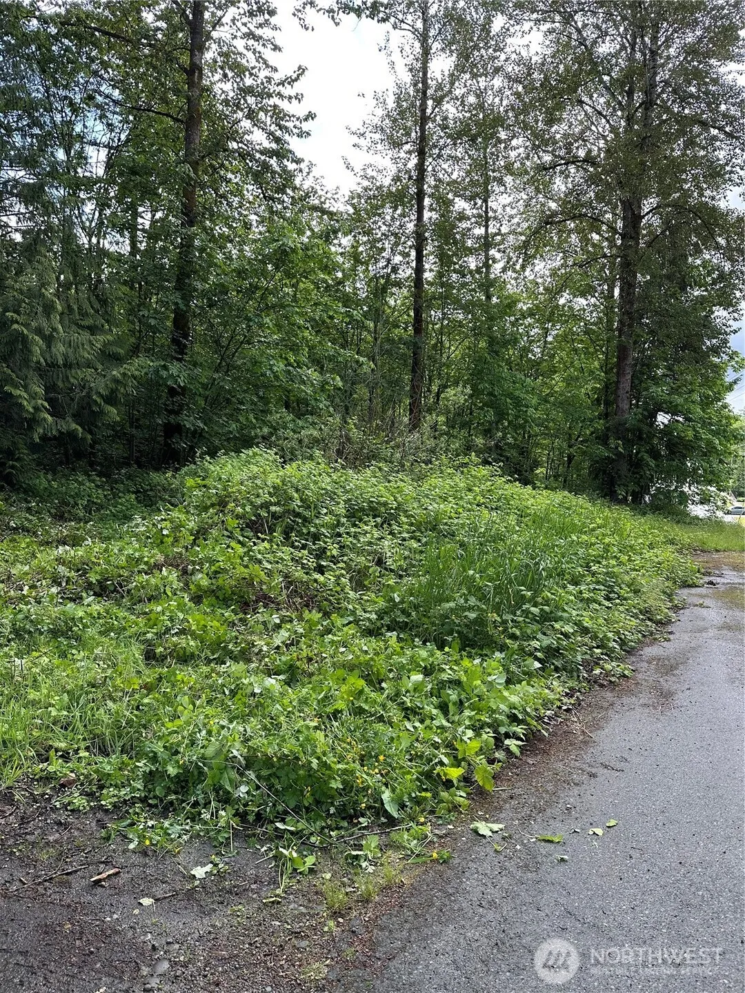 Property photo for 131 Xx Se 312th Street, Auburn photo 4