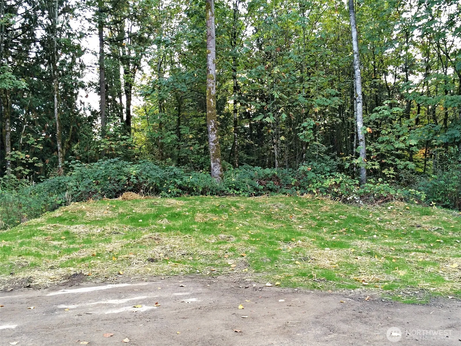 Property photo for 131 Xx Se 312th Street, Auburn photo 2