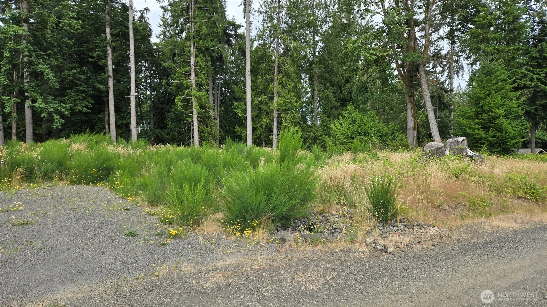 Property photo for 26 Xx Oregon (lot C Of Short Plat) Avenue E, Port Orchard photo 3
