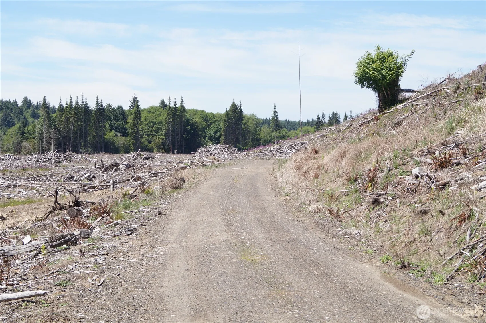 Property photo for 0 Nka North River Road, Cosmopolis