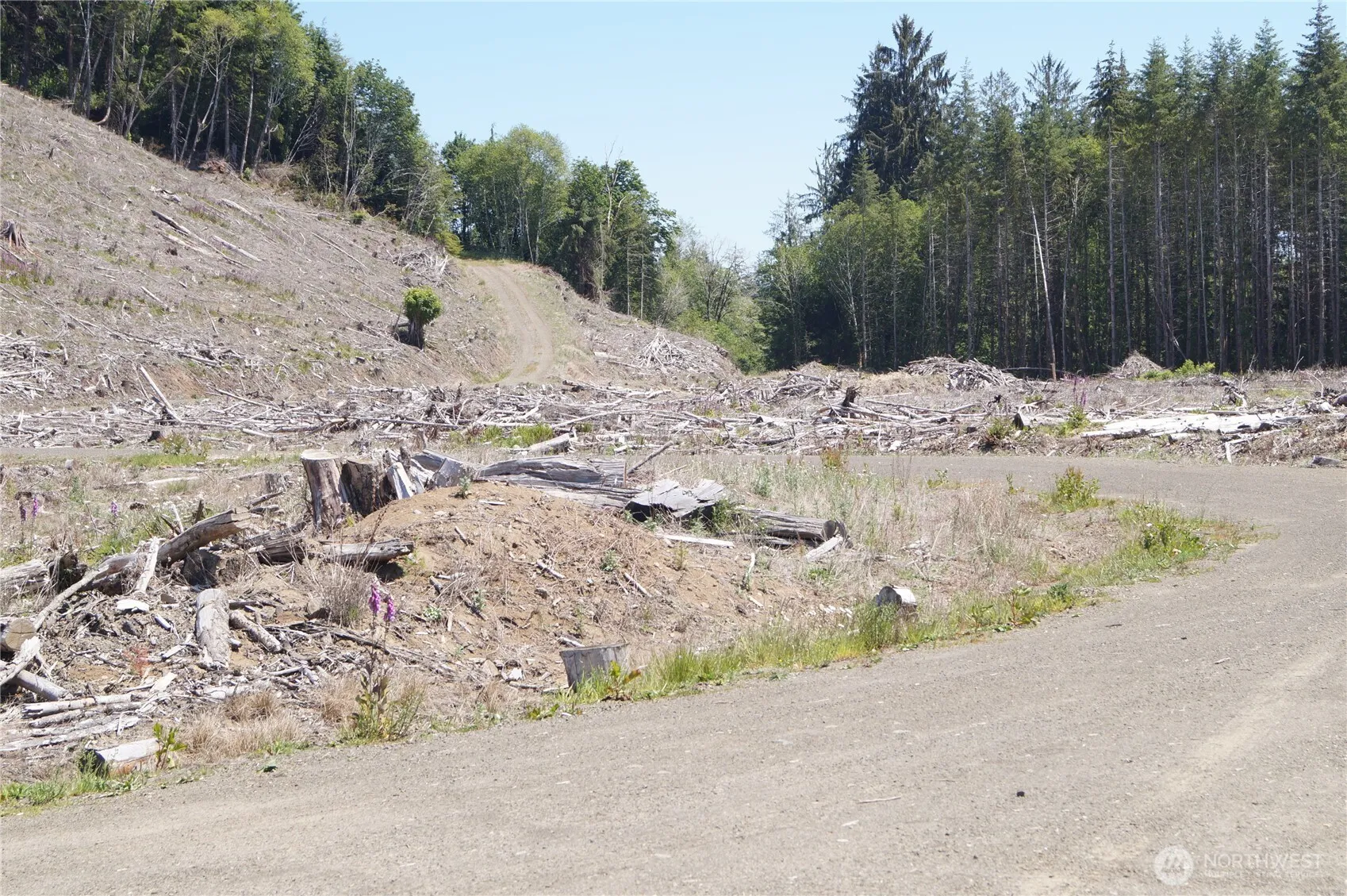 Property photo for 0 Nka North River Road, Cosmopolis photo 4