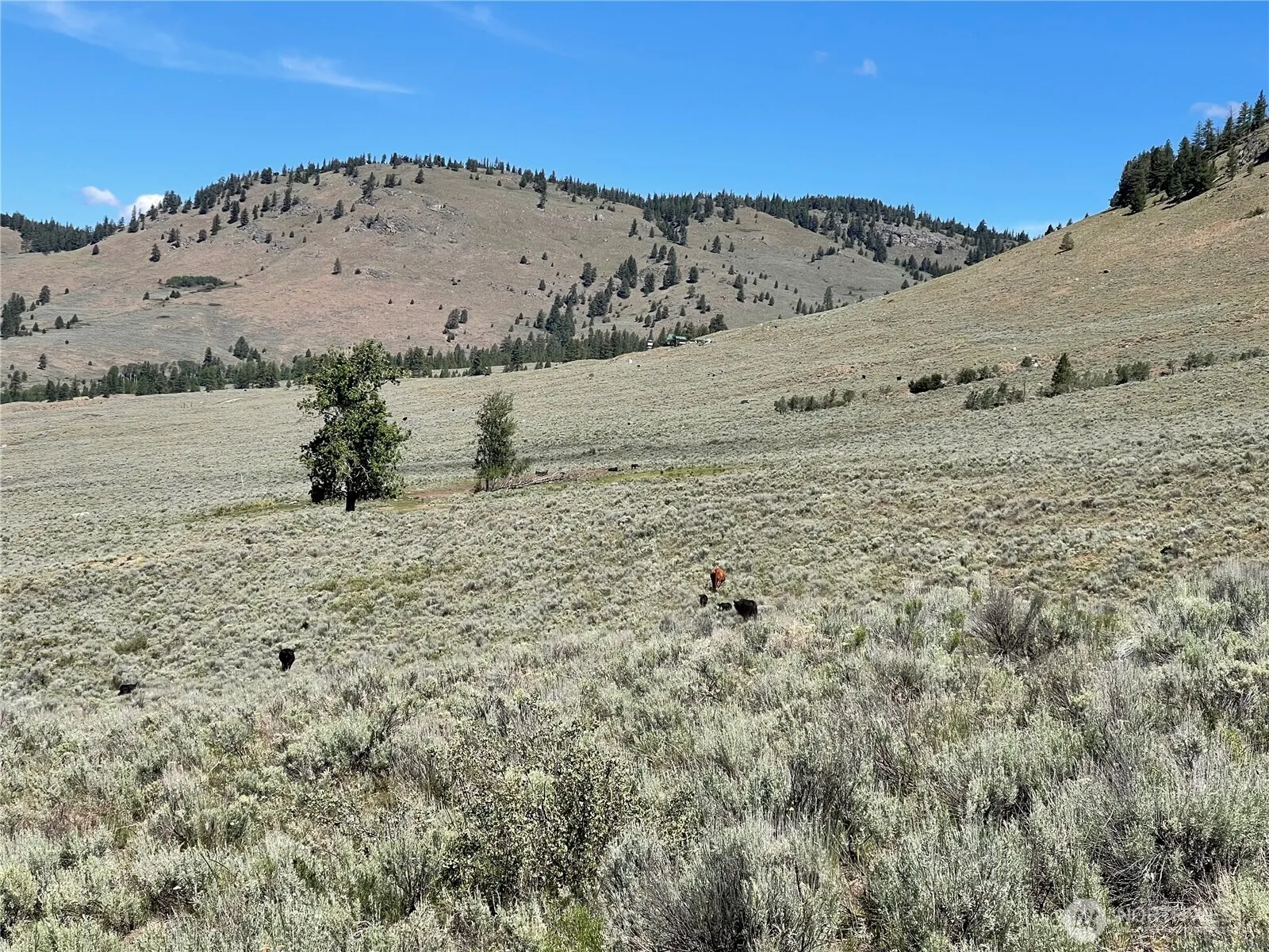 Property photo for 234 One Sky View Drive, Tonasket photo 4