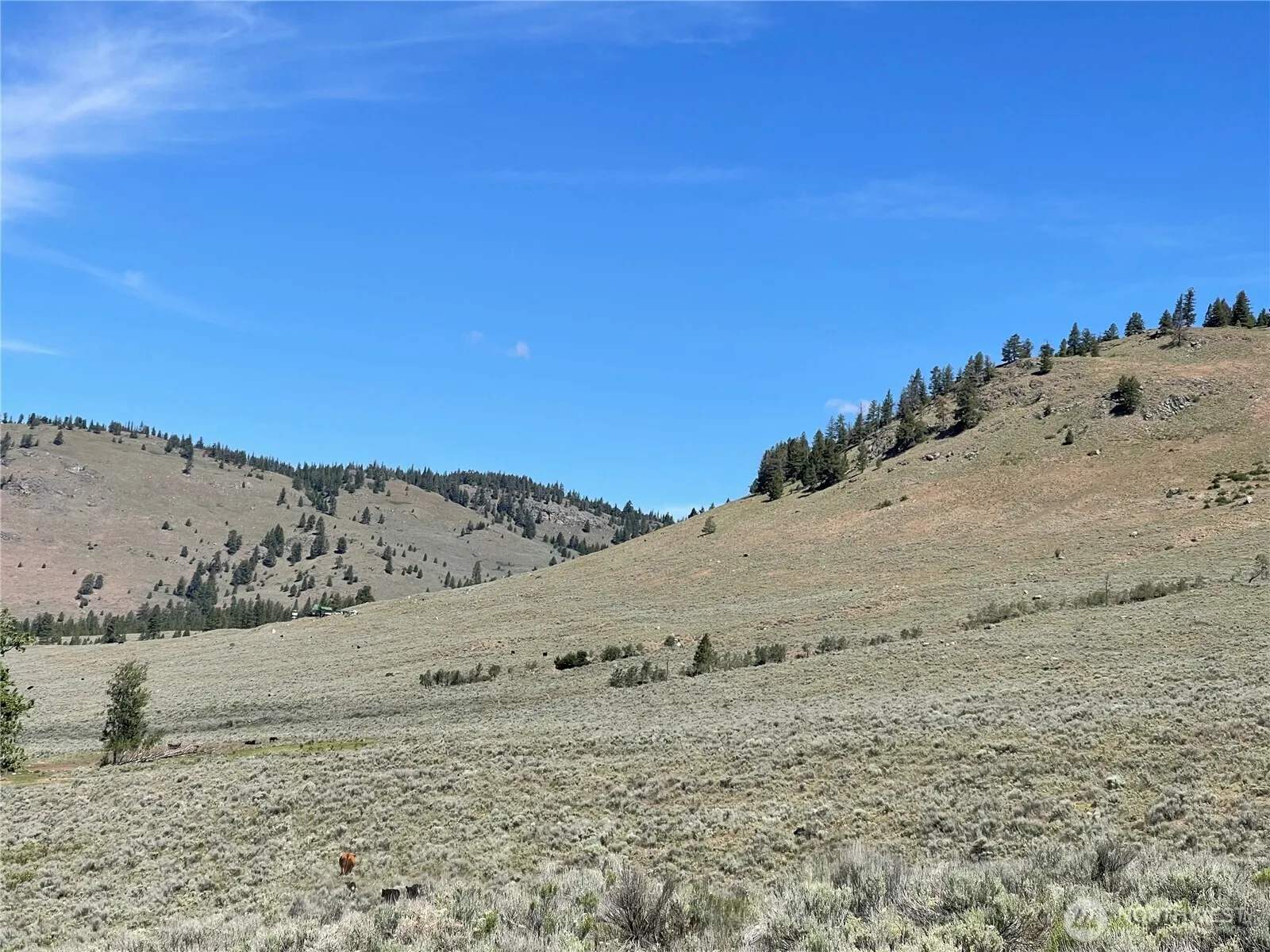 Property photo for 234 One Sky View Drive, Tonasket photo 3