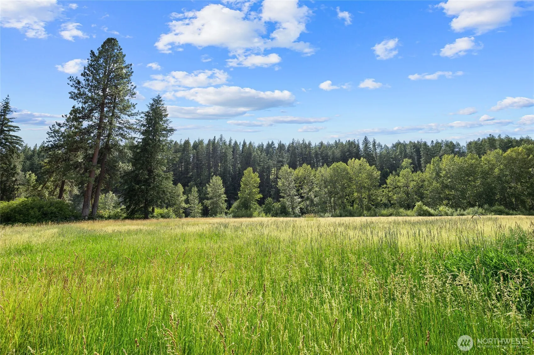 Property photo for 691 Quail Drive, Cle Elum photo 4