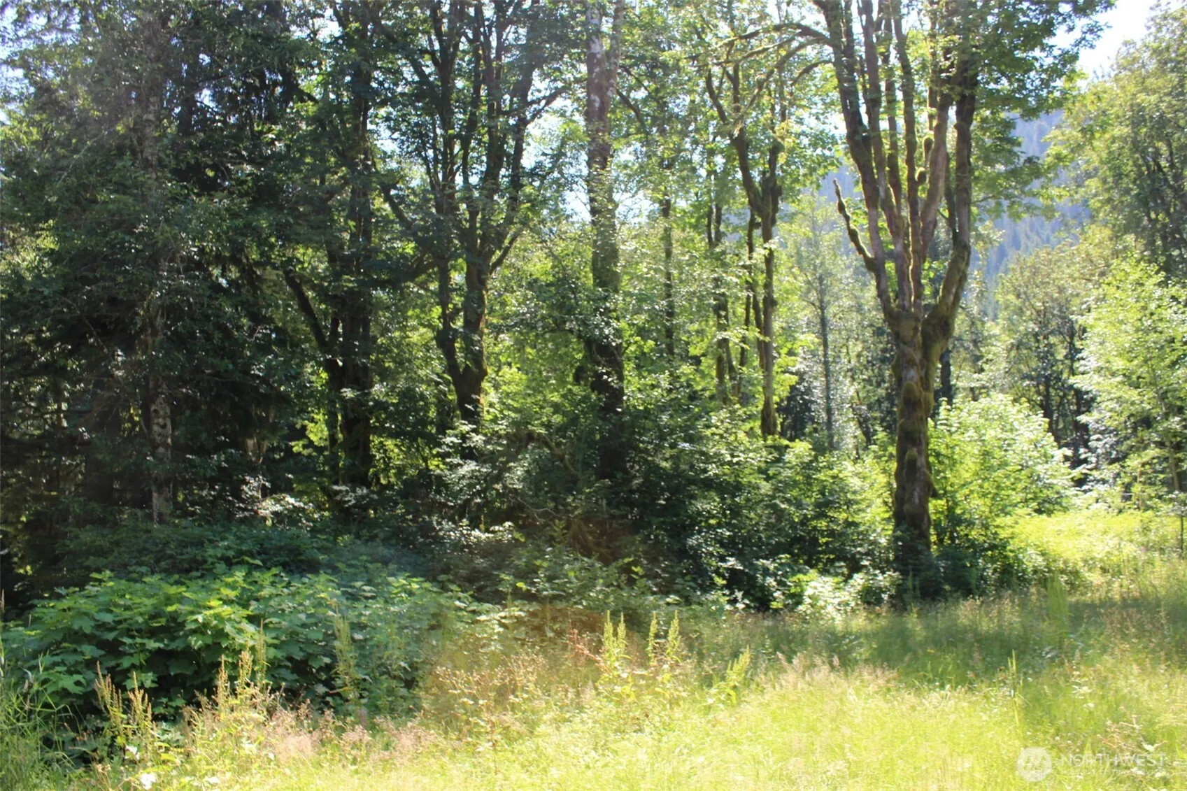 Property photo for 0 South Shore Drive, Mount Vernon photo 3