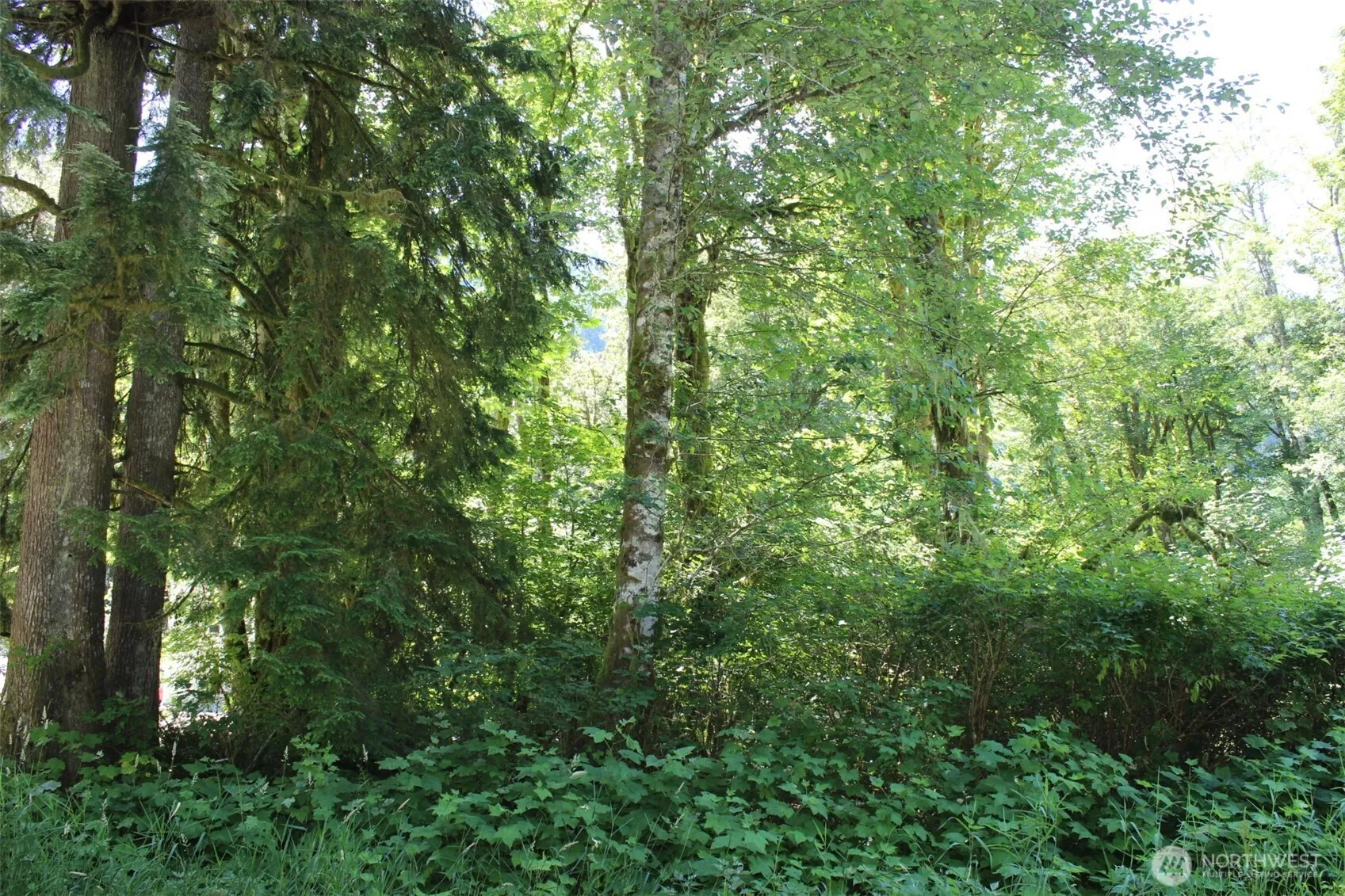 Property photo for 0 South Shore Drive, Mount Vernon photo 5