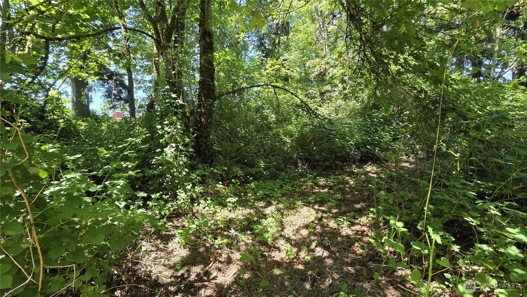 Property photo for 123 Mulford Street, Toledo photo 4
