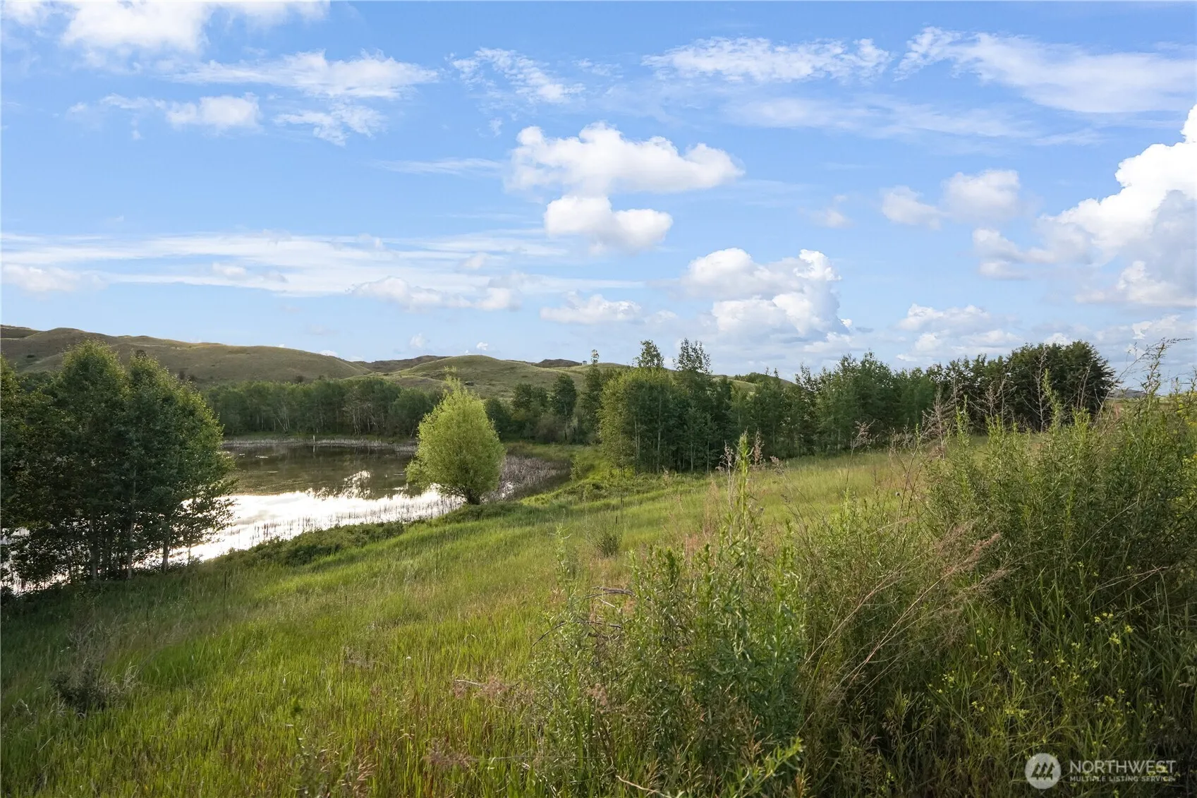 Property photo for 0 Hidden Hills Lane, Tonasket photo 4
