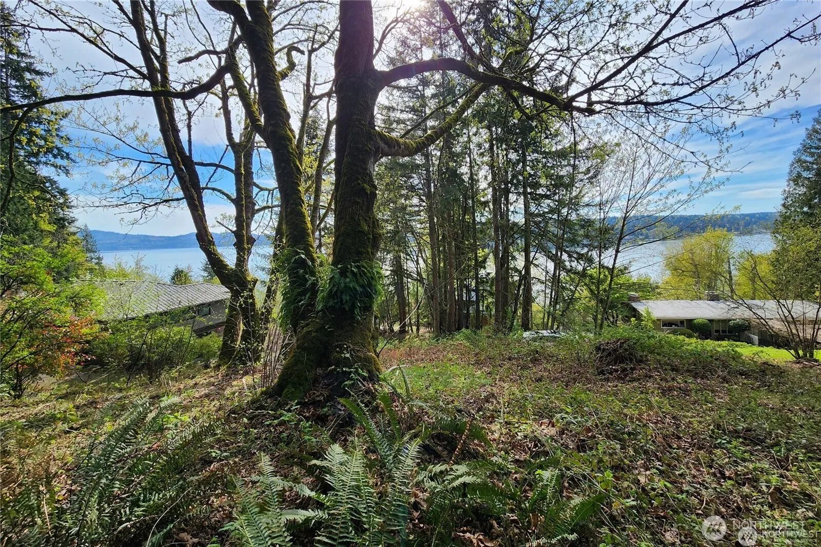 Property photo for 0 E Lake Sammamish Parkway Ne, Sammamish