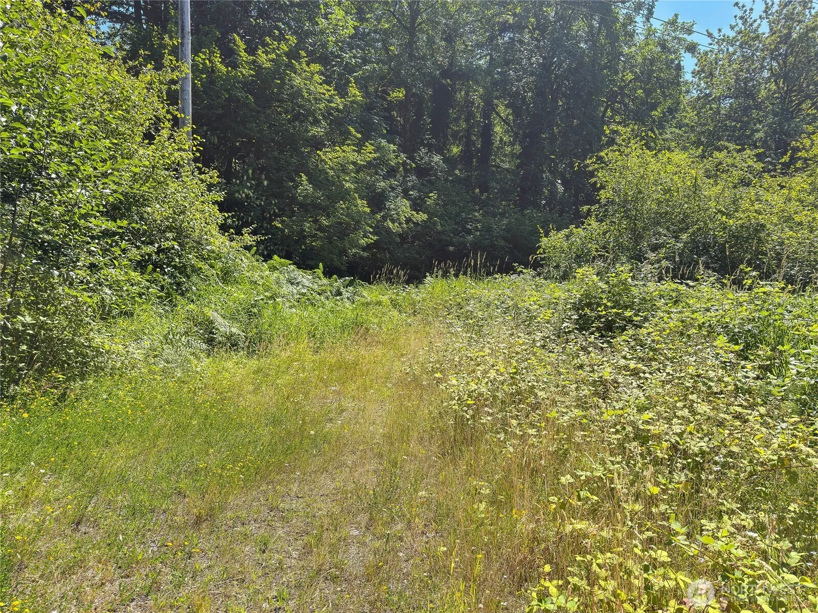 Property photo for 0 Renton Issaquah Road, Issaquah photo 2