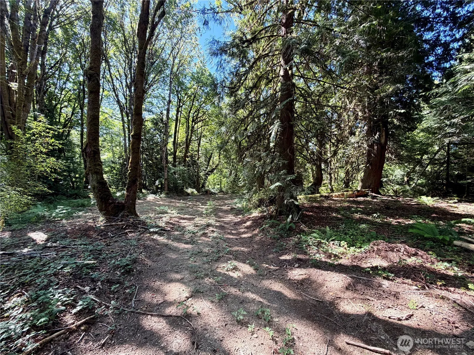 Property photo for 0 Lot 2 E Emily Lane, Shelton photo 5