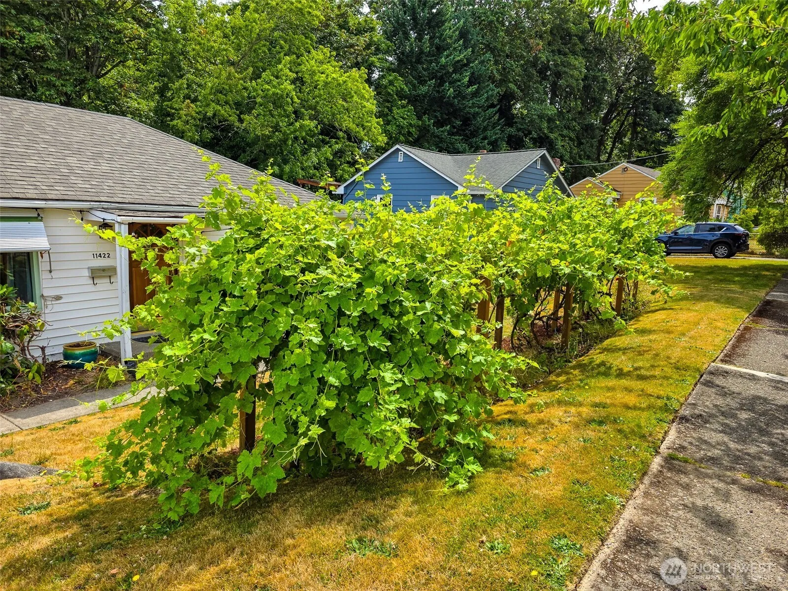 Property photo for 11422 71st Place S, Seattle photo 3
