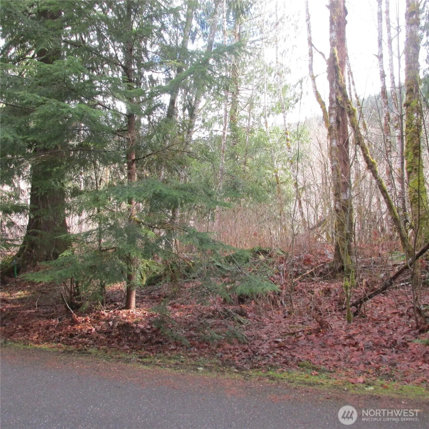 Property photo for 10337 Glacier Rim Drive, Glacier photo 2