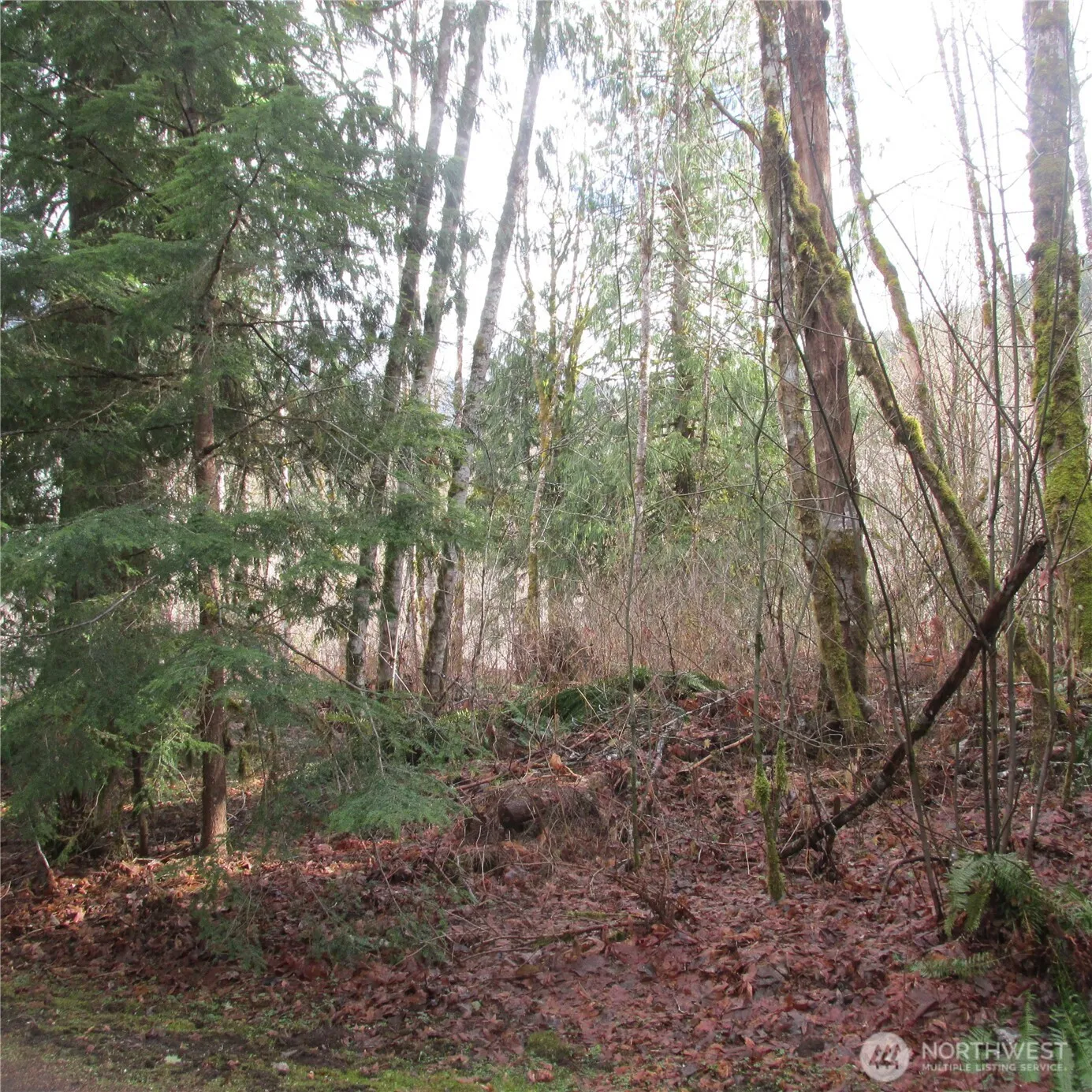 Property photo for 10337 Glacier Rim Drive, Glacier photo 3
