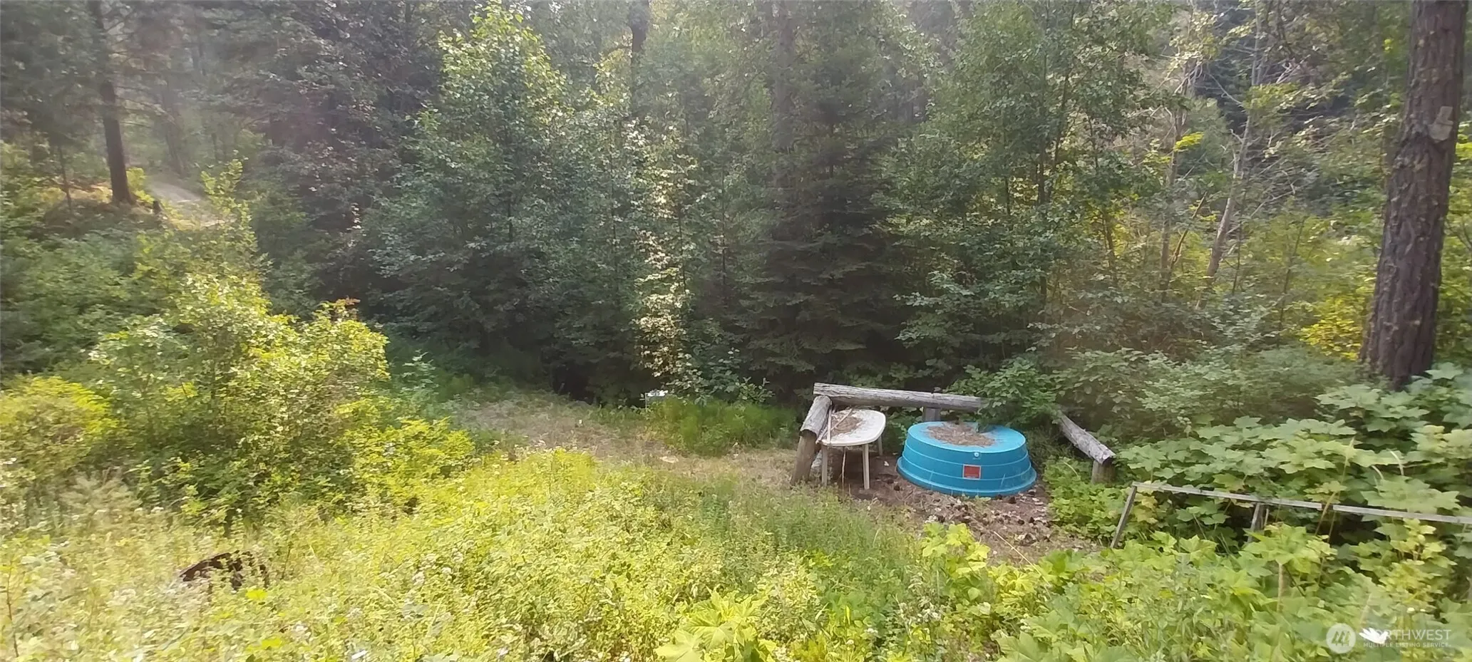 Property photo for 16745 Second Creek Rd, Leavenworth photo 4