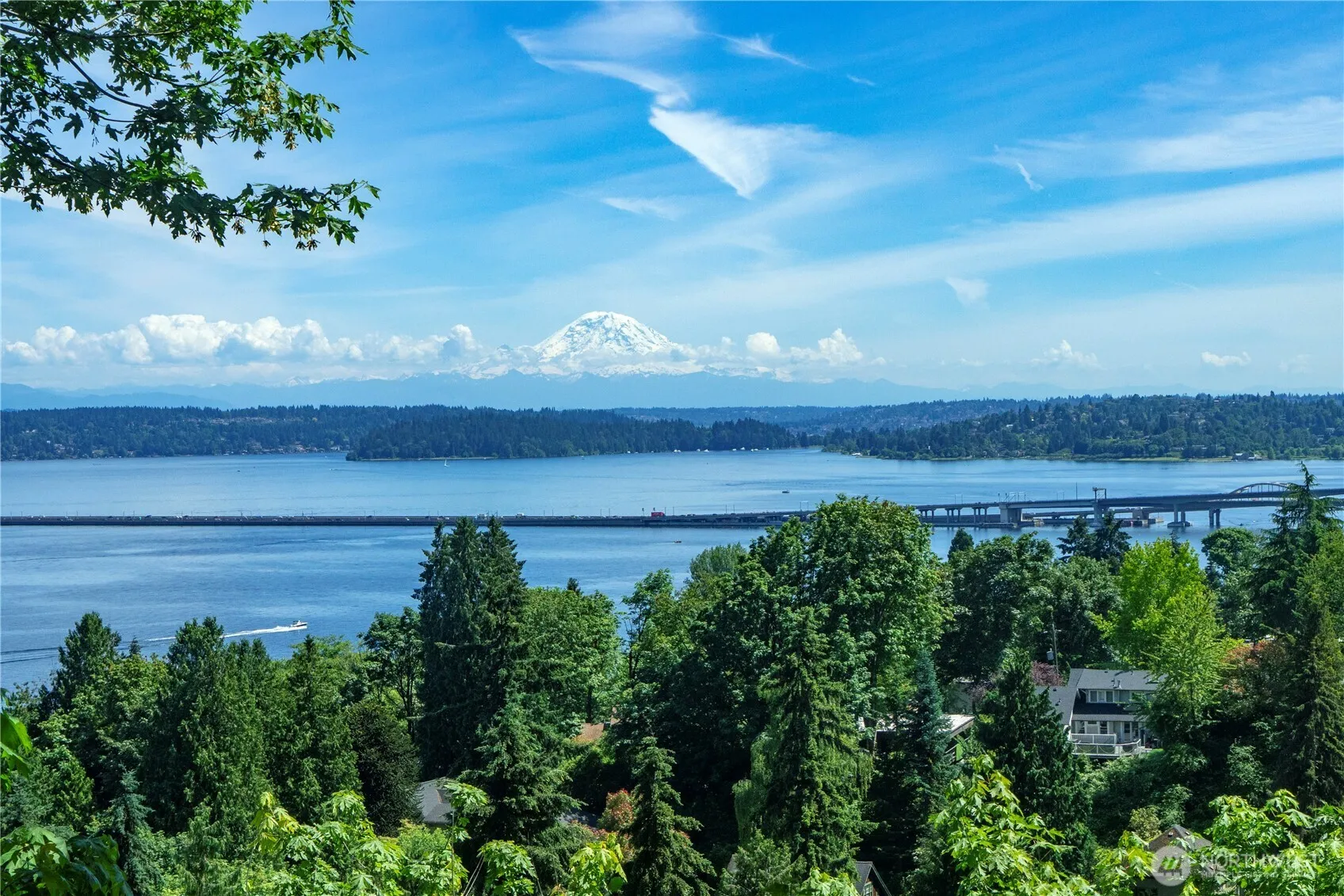 Property photo for 3411 E Terrace Street, Seattle photo 2