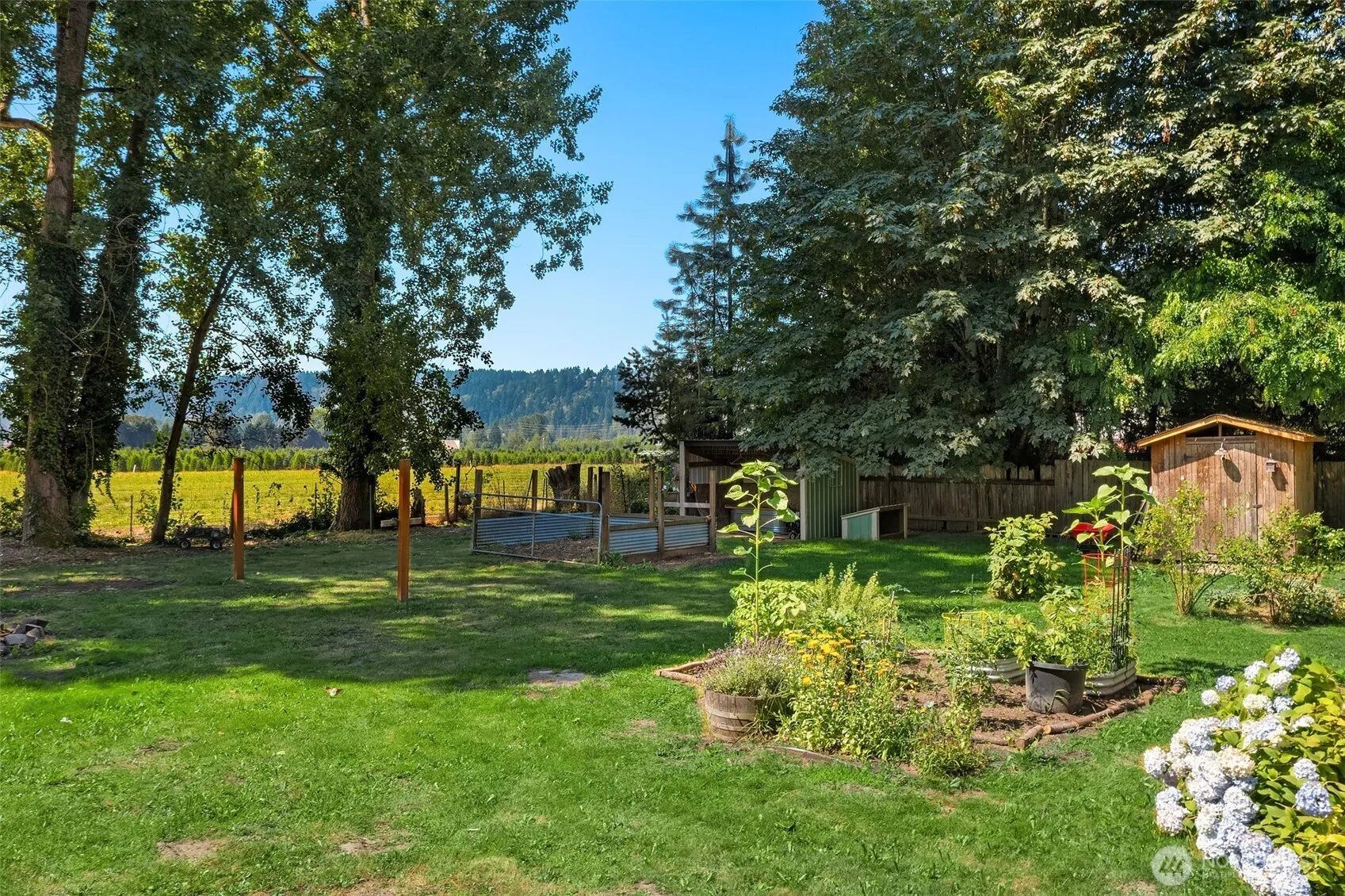 Property photo for 14924 E 115th Street, Puyallup photo 3
