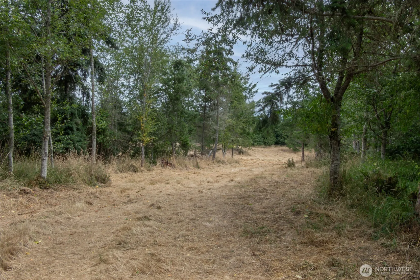 Property photo for 646 Tributary Lane, Port Angeles photo 5