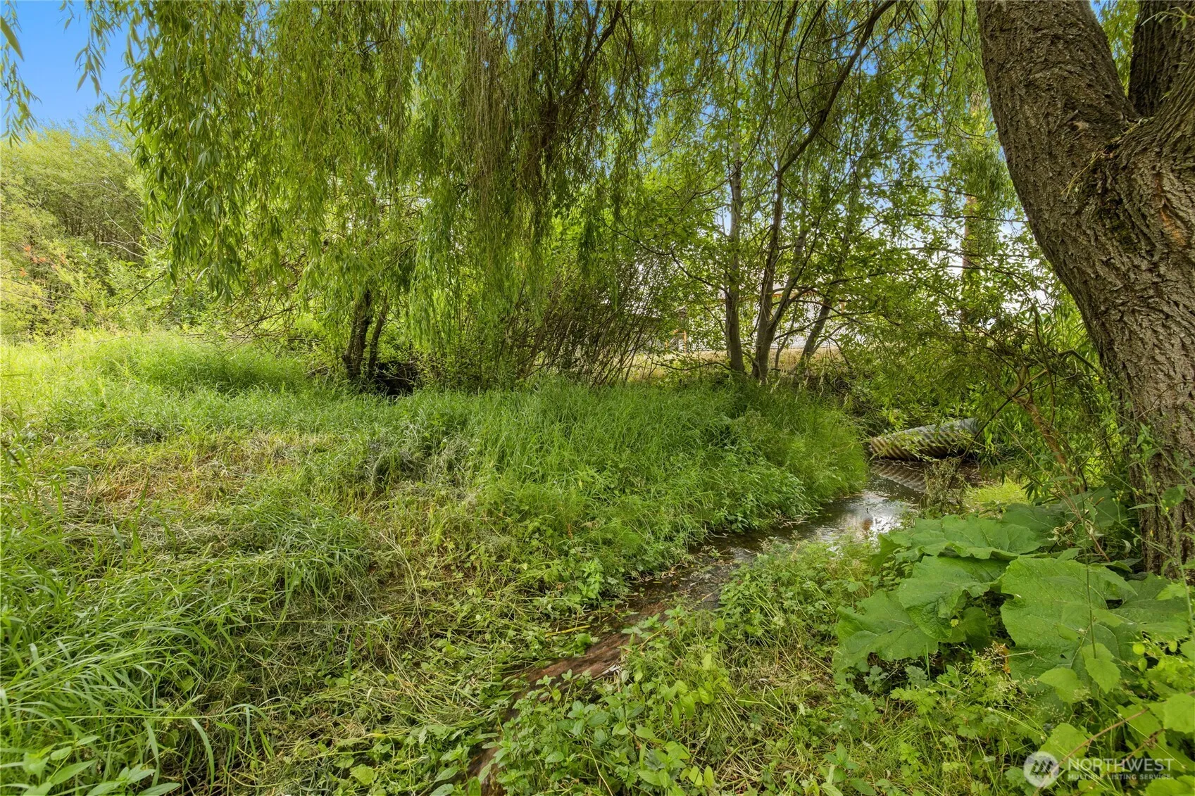 Property photo for 19 S A Street, Roslyn photo 4