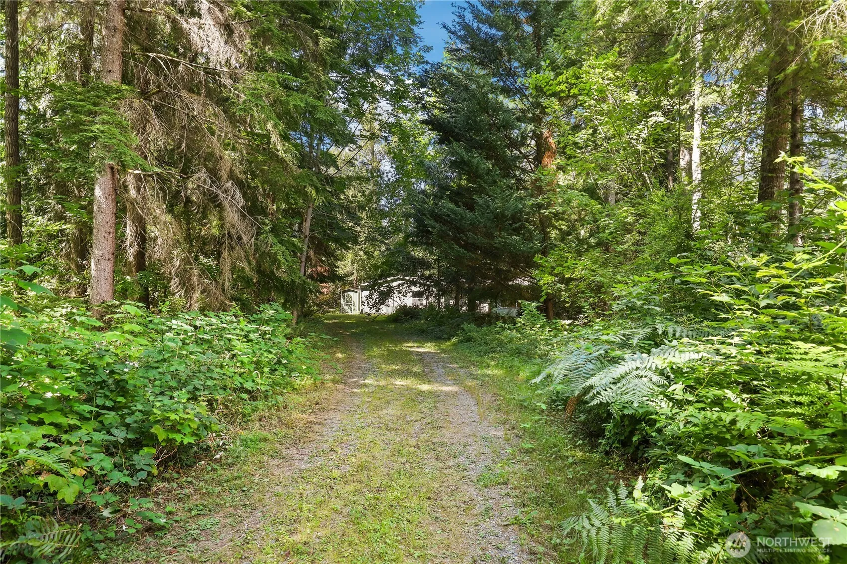 Property photo for 20224 Se 229th Street, Maple Valley photo 3