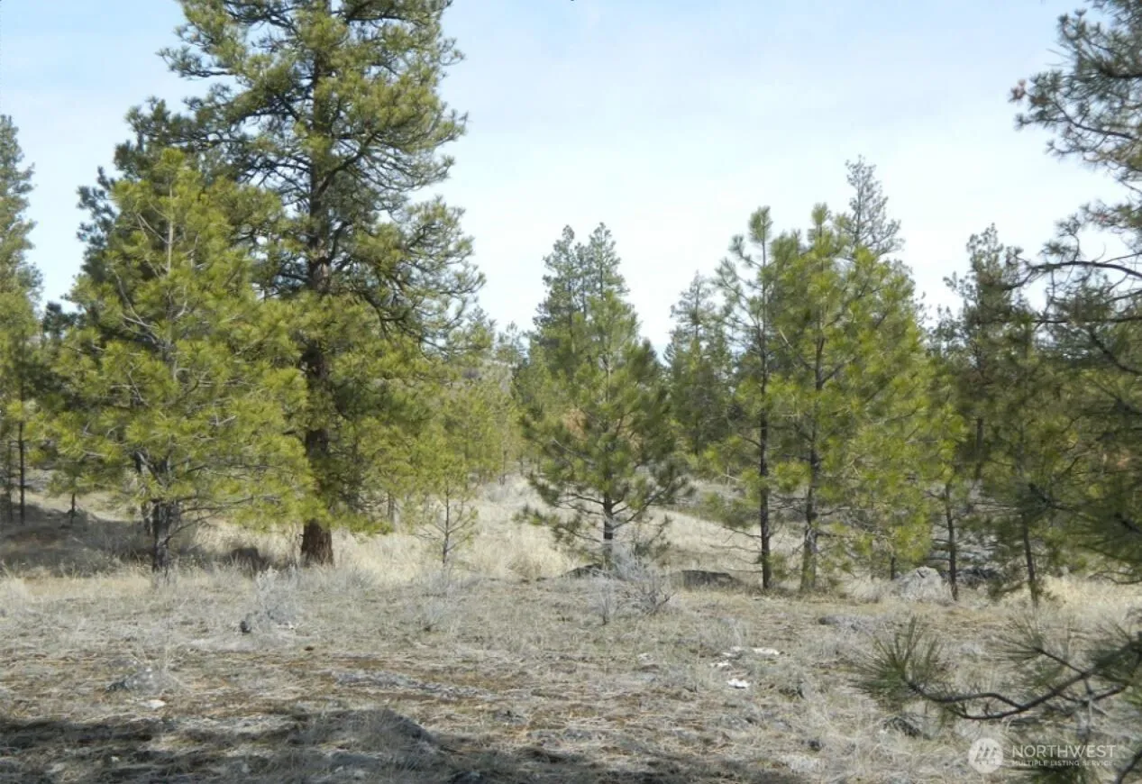 Property photo for 280 Reevas Basin Road, Tonasket
