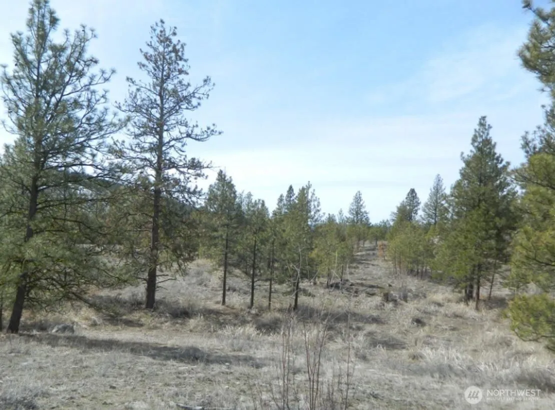 Property photo for 280 Reevas Basin Road, Tonasket photo 3