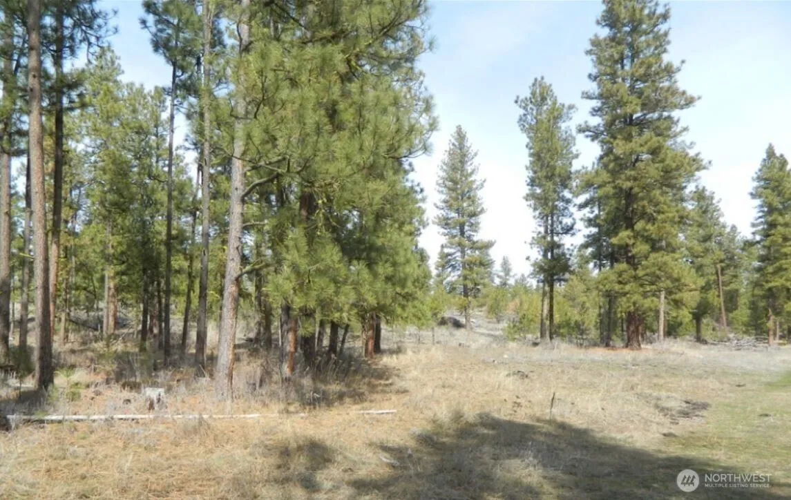 Property photo for 280 Reevas Basin Road, Tonasket photo 5